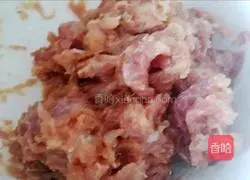 Illustration of braised minced pork and winter melon 4