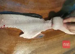 Illustration of how to make squirrel bass 3