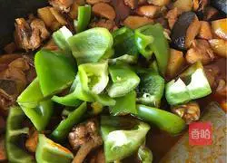 Illustration of home-cooked large plate chicken 14