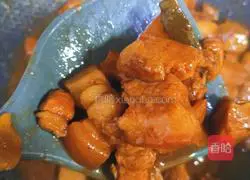 Illustration of Braised Pork Recipes 12
