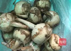 Illustration of how to make stuffed duck with mushrooms 1