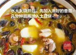 Illustration of how to make braised chicken 5