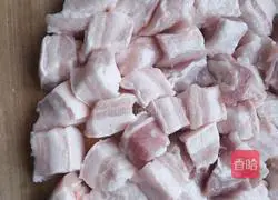 Illustration of how to make braised pork 2