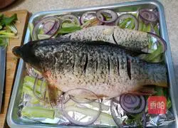 Illustration of homemade grilled fish 4