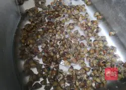 Illustration of how to make spicy screws 1