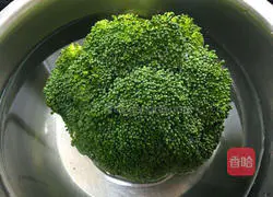 Illustration of home-cooked braised pork 9