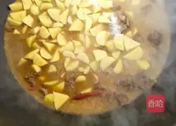 Illustration of how to stew goose in iron pot 10