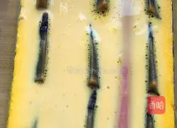 (Steamed Vegetables) Illustration of Steamed Double Eggs 12