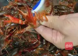 Illustration of how to make spicy crayfish in summer 2