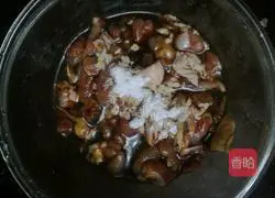 Kung Pao Chicken (Cantonese version) ) illustration 8