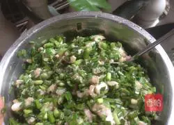 Leek and Pork Dumplings Illustration of how to do it 2