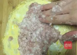 Illustration of how to make egg roll meat 8