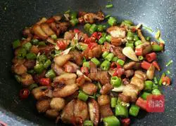 Illustration of Spicy Stir-fried Pork 10