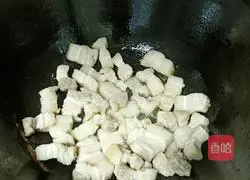 Illustration of Braised Pork and Potatoes 4