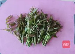 Illustration of how to make Chinese toon sprout omelette 1