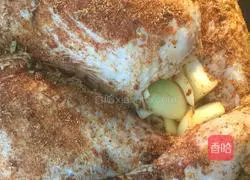 American roast turkey recipe 9