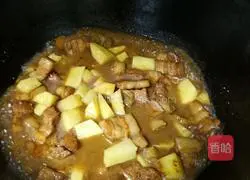 Illustration of Braised Pork and Stewed Potatoes 9