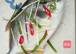 Illustration of steamed pomfret 3