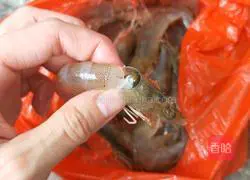 Illustration of how to make crispy shrimp 2