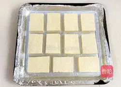 Cumin roasted tofu recipe 4