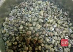 Illustration of how to fry snails 1