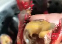 Spicy crayfish recipe 1