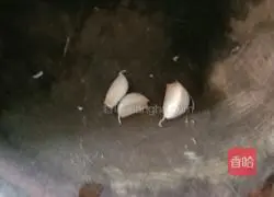 Potato stew recipe illustration 5