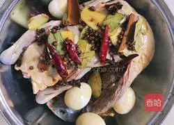 Illustration of braised blue-headed duck 4