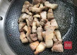 Braised Pork Recipe Illustration 3