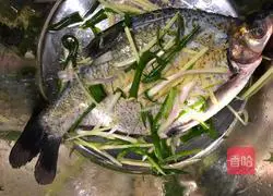 Illustration of how to steam Wuchang fish with black bean sauce 2