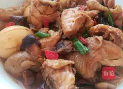 Illustration of Braised Chicken 19