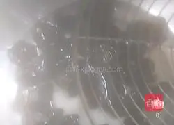 Illustration of low-fat weight loss meal 2