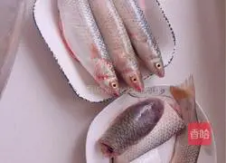 Illustration of how to make Barracuda fans 1