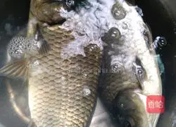 How to cook braised crucian carp in braised soil Illustration 1