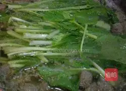 Beef meatball soup recipe 9