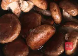 Illustration of how to make stewed chicken with potatoes, mushrooms and carrots 3