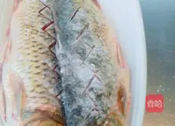 Illustration of dry roasted fish 3