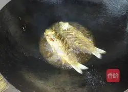 Illustration of braised crucian carp in sauce 3