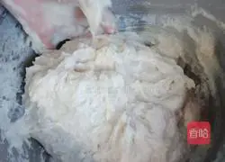 Illustration of how to make handmade fish balls 13