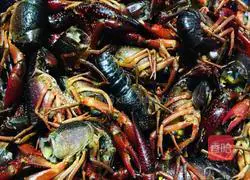 Illustration of braised crayfish in oil 4