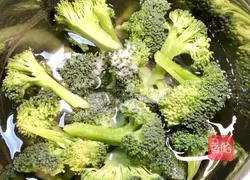 Cantonese-Stir-fried Shrimp with Broccoli Illustration 1