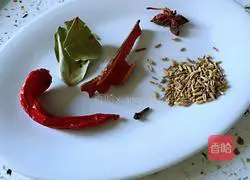 Illustration of home-style braised pork 3