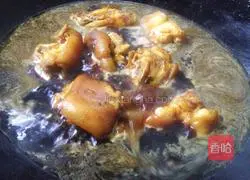 Illustration of Braised Pork Trotters 12