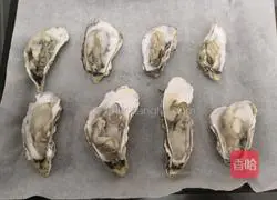 Illustration of grilled oysters with garlic, lemon and green pepper 15