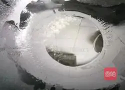 Illustration of how to make peerless mysid shrimp 7