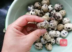 Illustration of how to make braised quail eggs 4