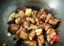 Illustration of braised pork ribs 7