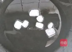 Classic Braised Pork Recipe Illustration 4