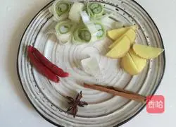 Illustration of braised pork ribs 4