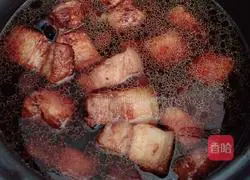 Illustration of Braised Pork 7